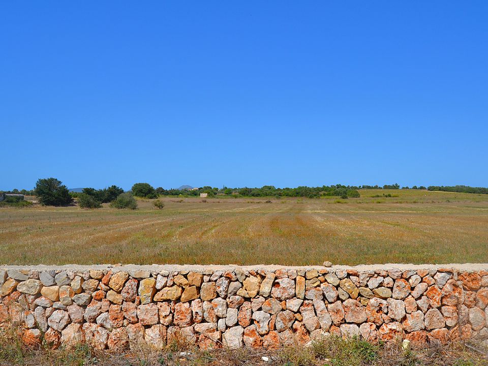 Finca i Manacor, Mallorca - foto 2