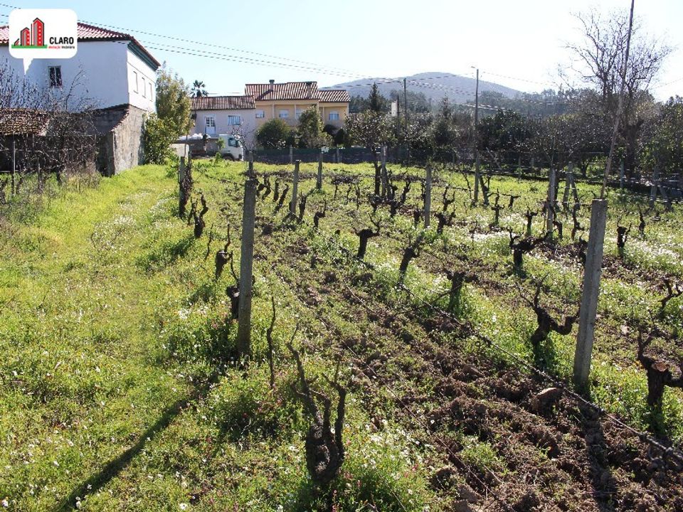 Helårsgrund i Soure, Coimbra - foto 5
