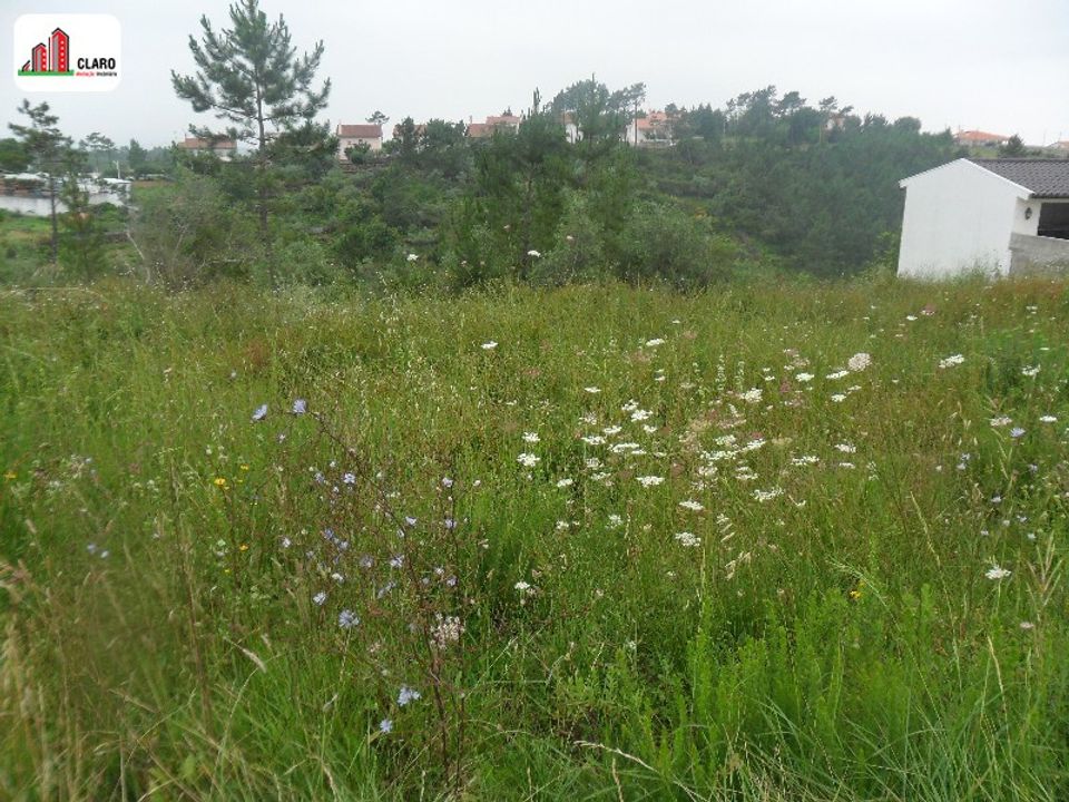 Helårsgrund i Coimbra, Coimbra - foto 3