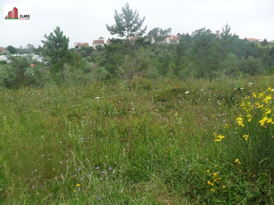 Helårsgrund i Coimbra, Coimbra - foto 4
