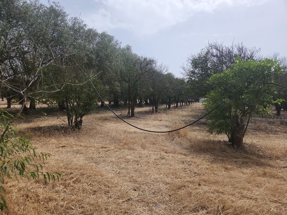 Erhvervsejendom i San Sperate, Sud Sardegna - foto 1