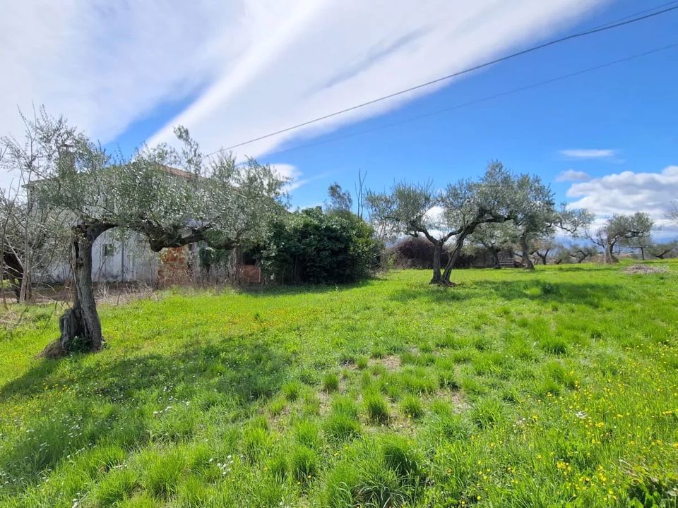 Villa a Pianella, Pescara - foto 1