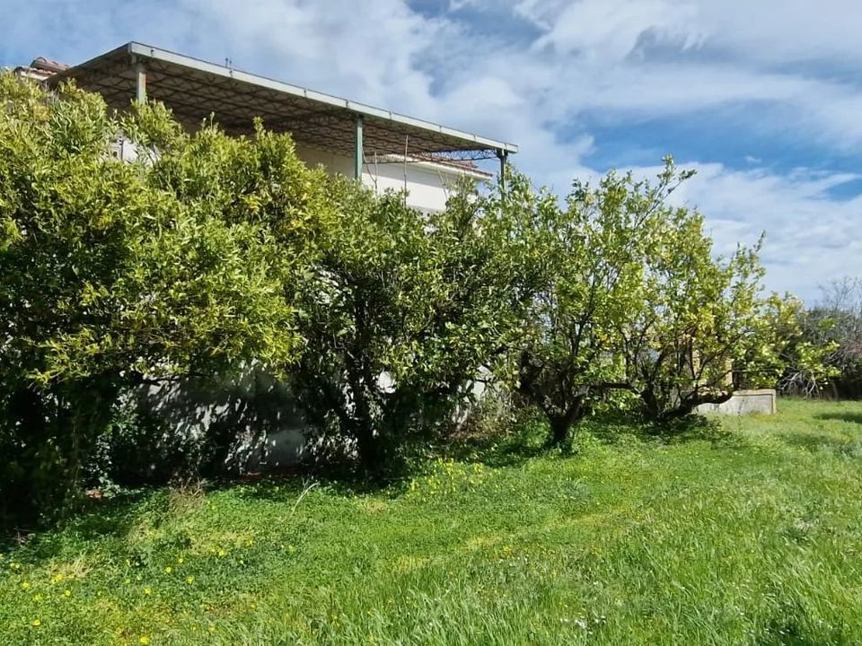 Villa a Pianella, Pescara - foto 4