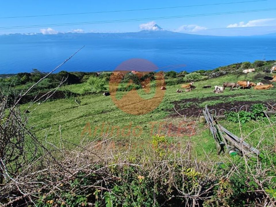 Działka: Velas, Sao Jorge – zdjęcie 4