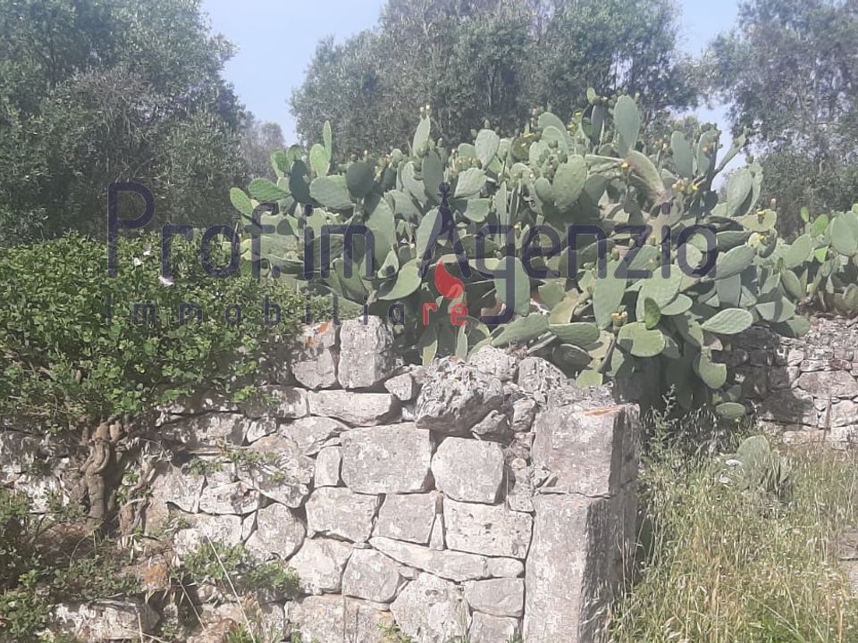 Landejendom i San Michele Salentino, Brindisi - foto 1