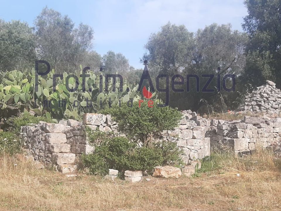 Landejendom i San Michele Salentino, Brindisi - foto 3