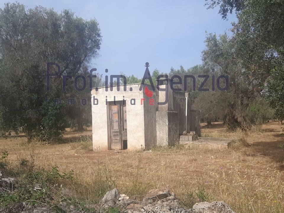 Landejendom i San Michele Salentino, Brindisi - foto 5