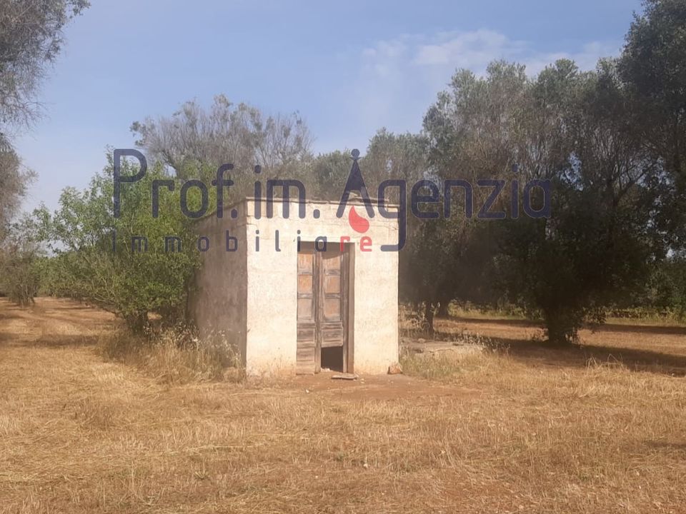 Landejendom i San Michele Salentino, Brindisi - foto 4