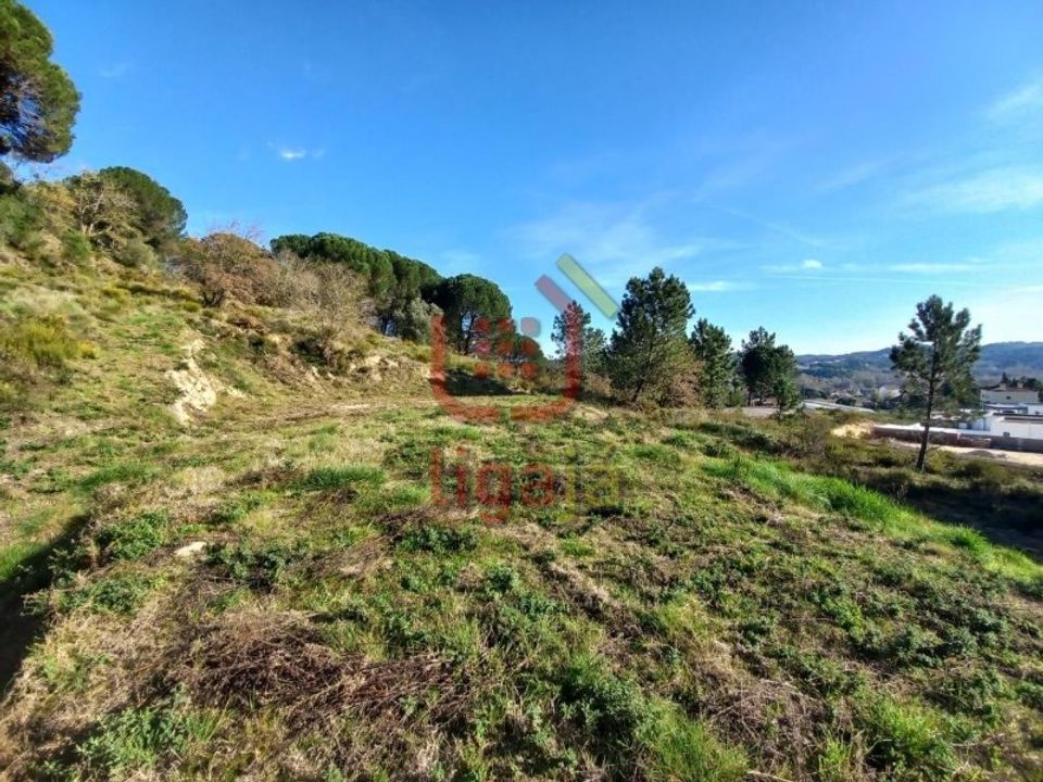 Helårsgrund i Ourem, Santarem - foto 2