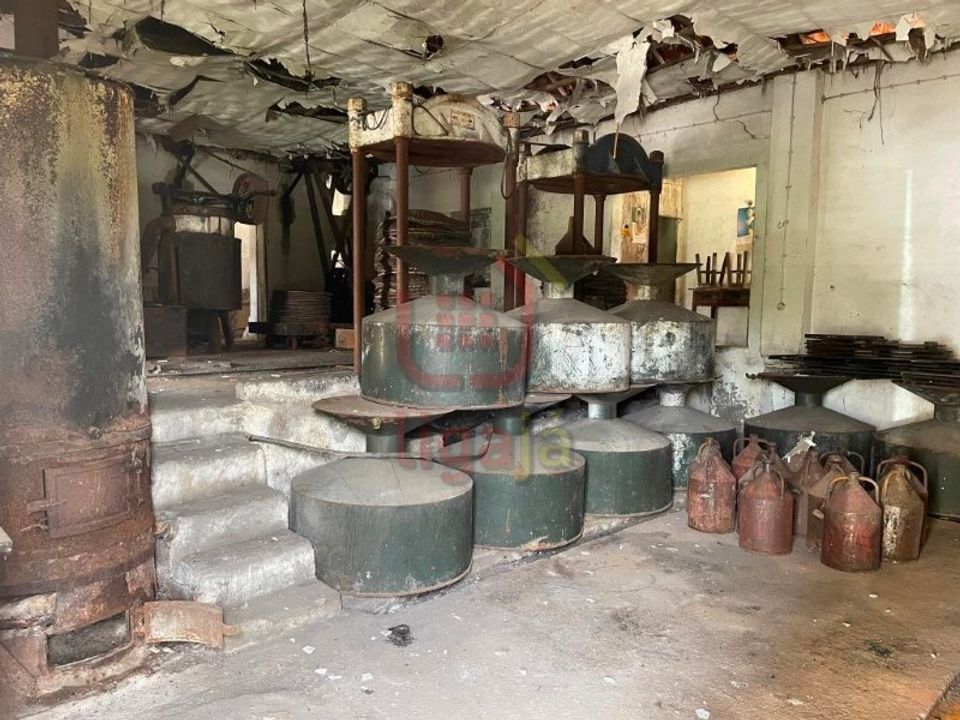 L'establiment comercial a Freixianda, Santarem - foto 3
