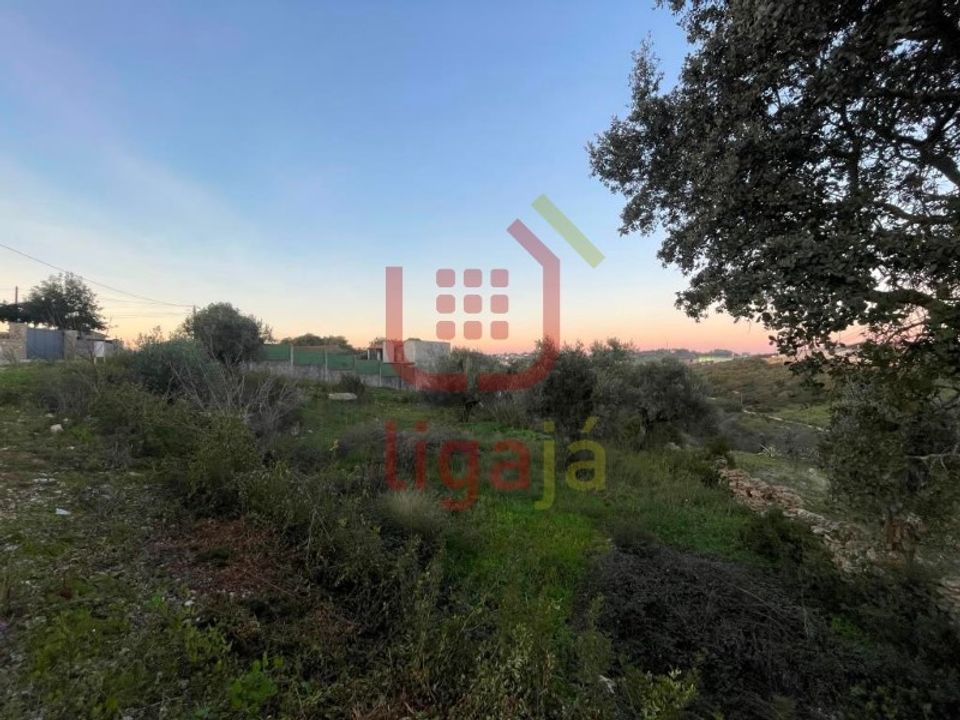Helårsgrund i Ourem, Santarem - foto 3