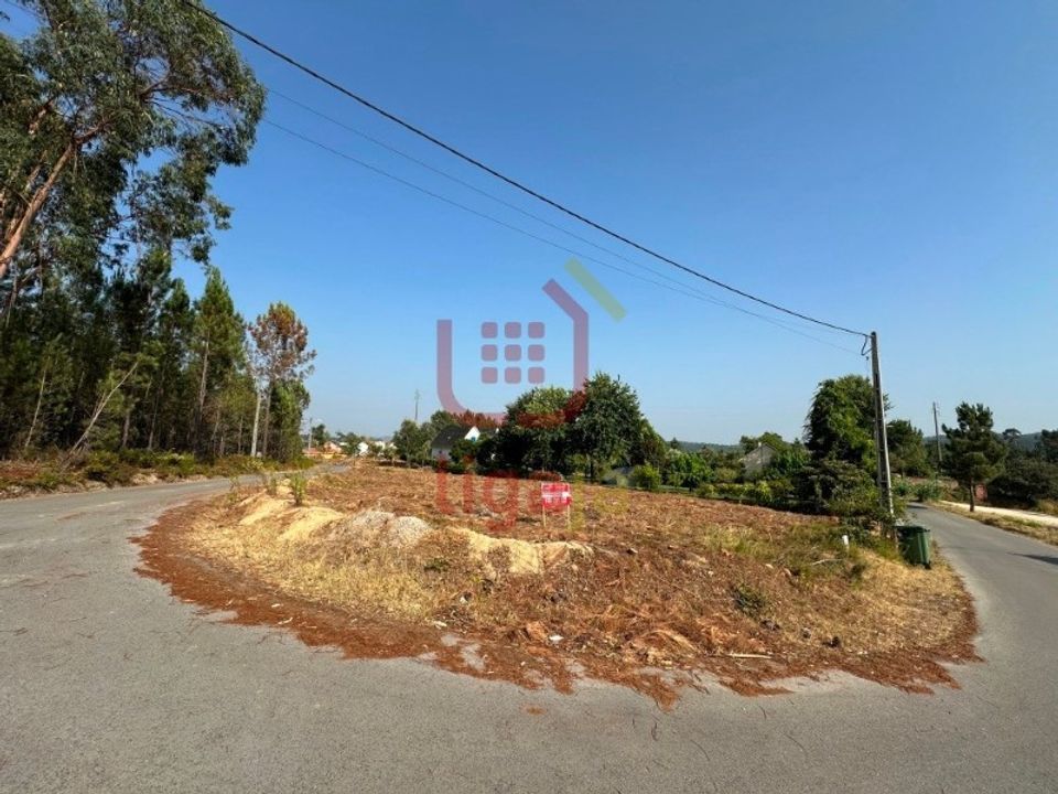 Terra a Rio de Couros e Casal dos Bernardos, Santarem - foto 1