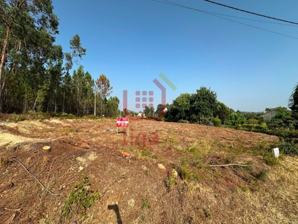 Terra a Rio de Couros e Casal dos Bernardos, Santarem - foto 2