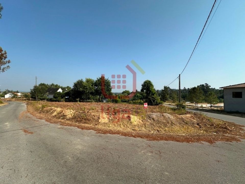 Terra a Rio de Couros e Casal dos Bernardos, Santarem - foto 3
