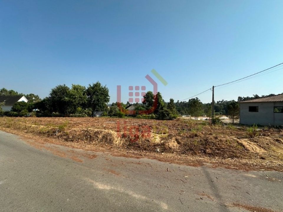 Terra a Rio de Couros e Casal dos Bernardos, Santarem - foto 4