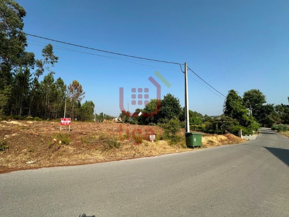 Terra a Rio de Couros e Casal dos Bernardos, Santarem - foto 5