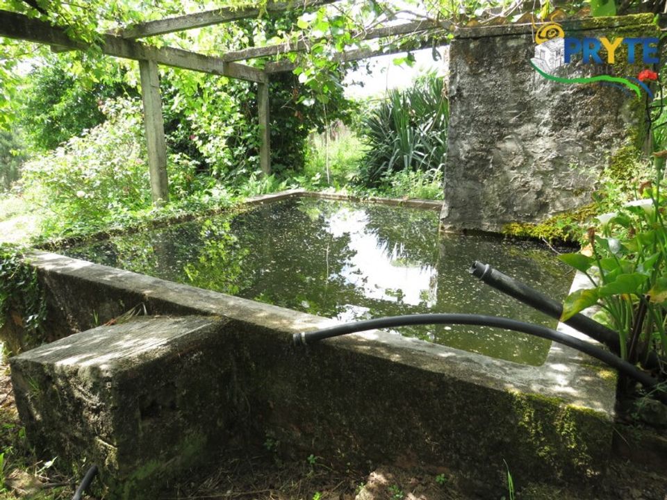 Farm i Serta, Castelo Branco - foto 5