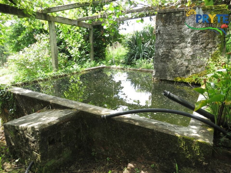 Farm i Serta, Castelo Branco - foto 5