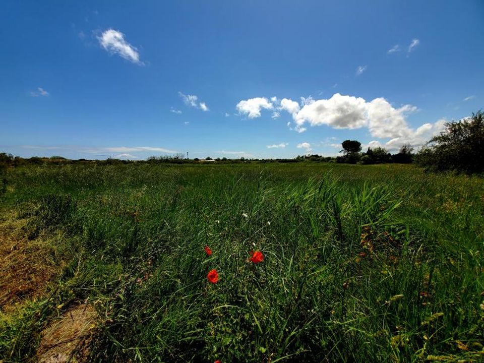 Helårsgrund i Marseillan, Herault - foto 5