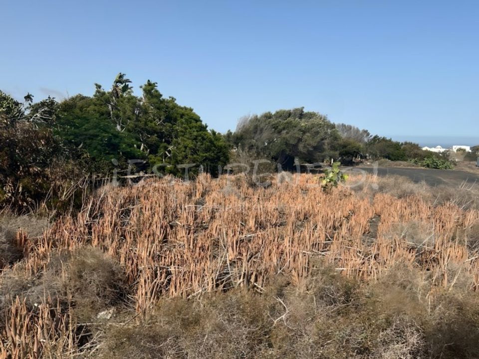 Helårsgrund i Guime, Lanzarote - foto 5