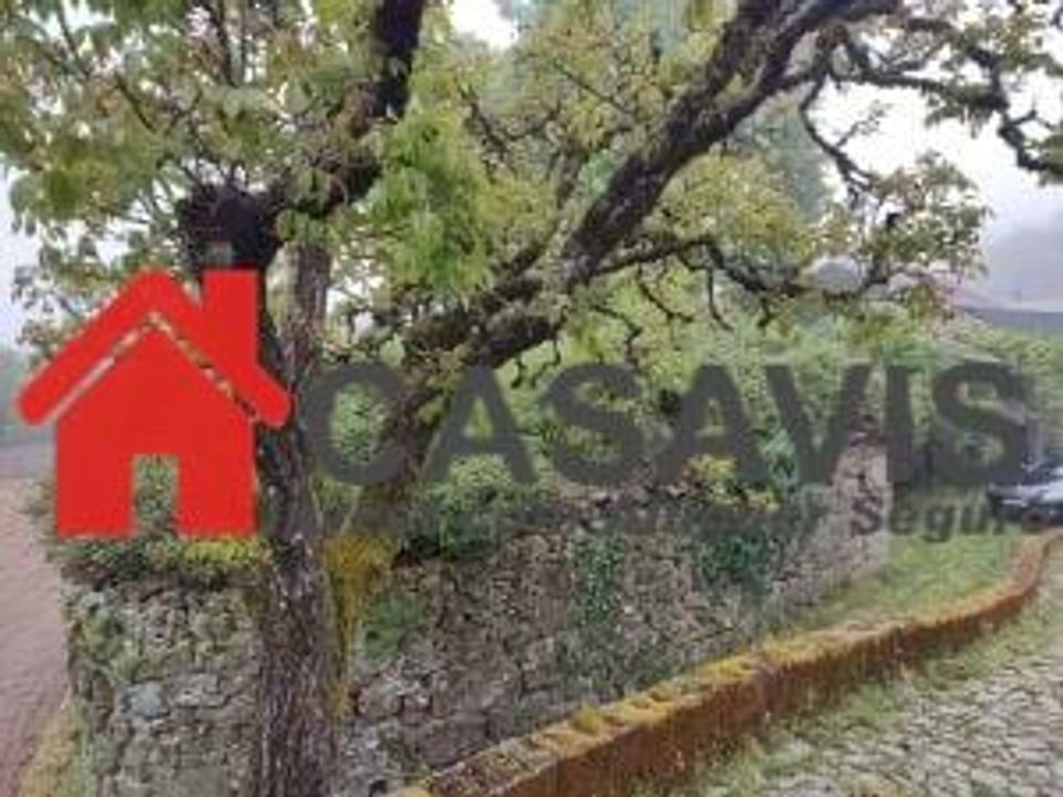 Ruinere i Castro Daire, Viseu - foto 2