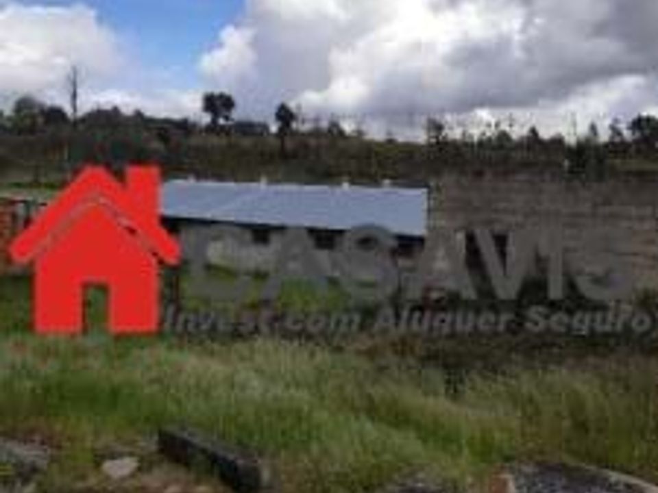 Farm hus i Espinho, Viseu - foto 4
