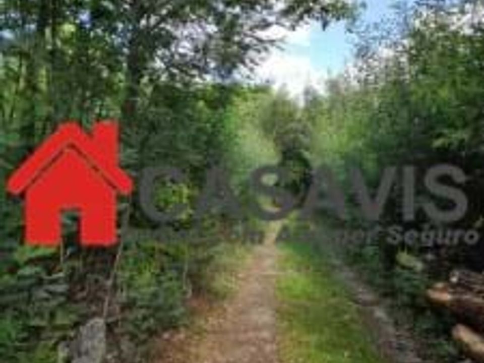 Farm hus i Rio de Loba, Viseu - foto 2