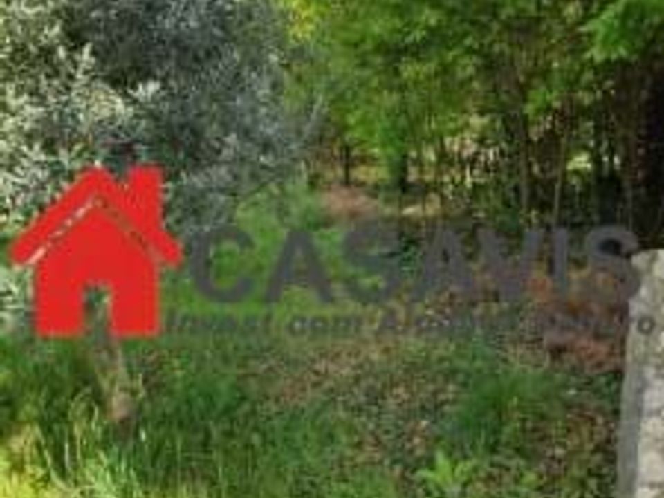 Farm hus i Rio de Loba, Viseu - foto 4
