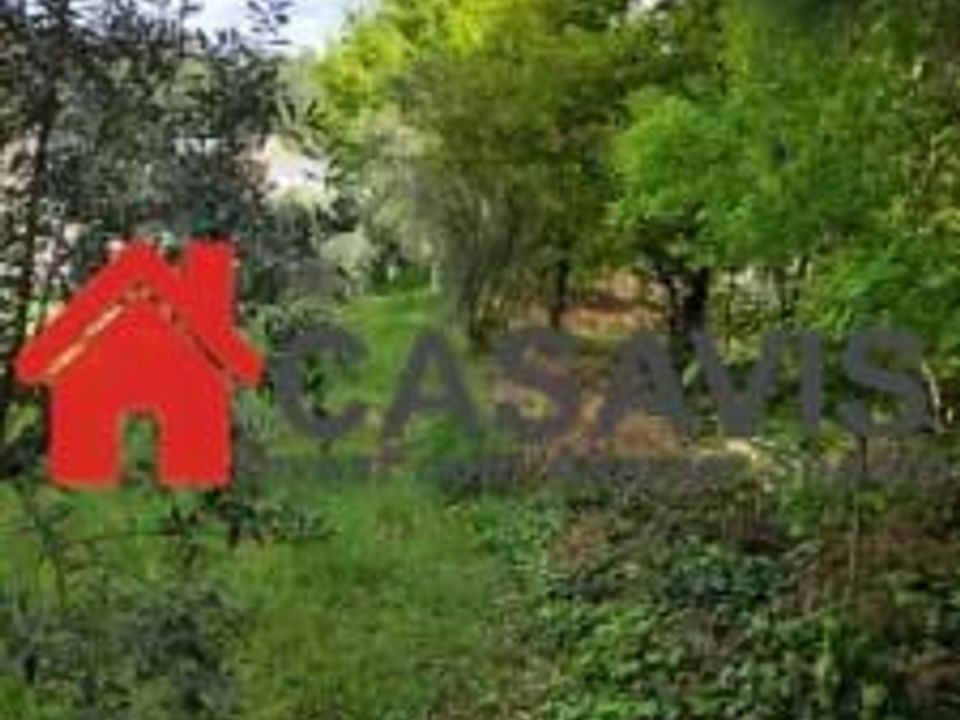 Farm hus i Rio de Loba, Viseu - foto 5