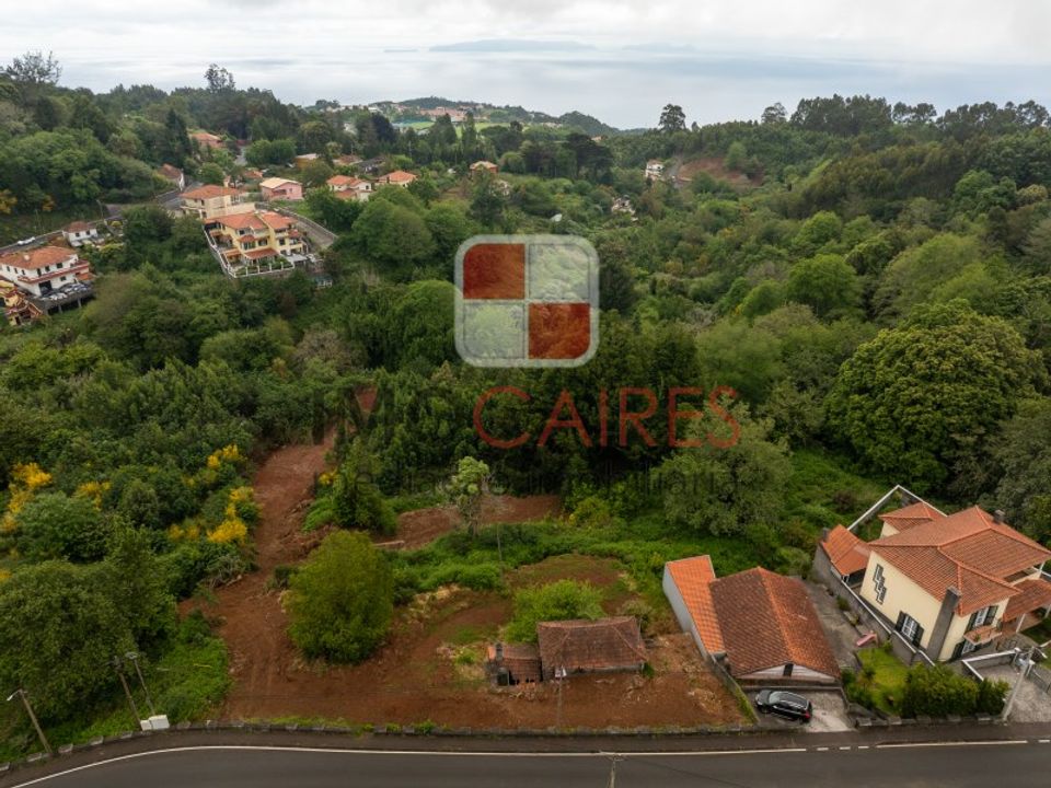 Helårsgrund i Camacha, Madeira - foto 1