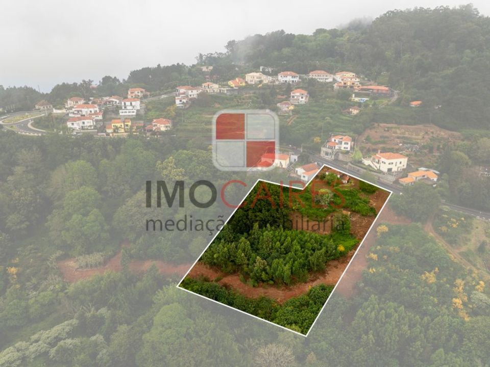 Helårsgrund i Camacha, Madeira - foto 5