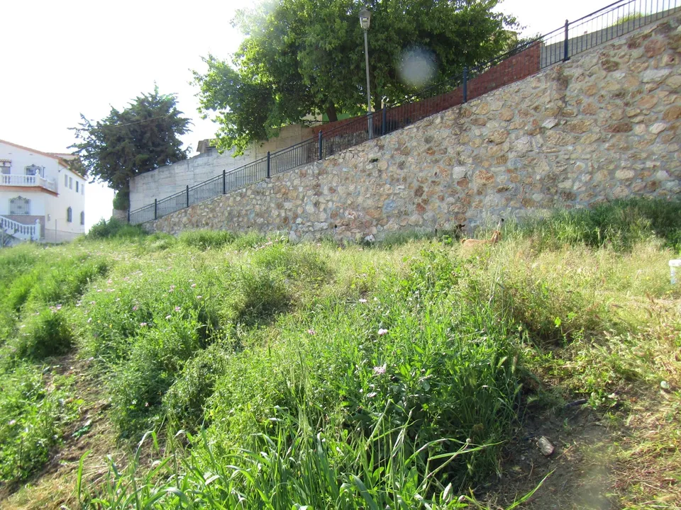 Helårsgrund i Canillas De Aceituno, Malaga - foto 5