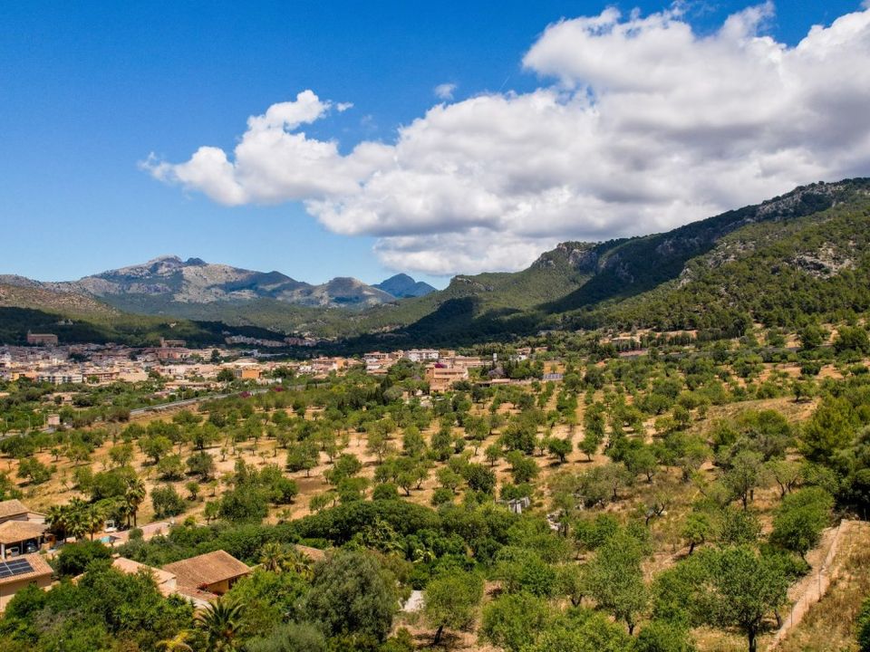 Cortijo i Andratx, Mallorca - foto 3