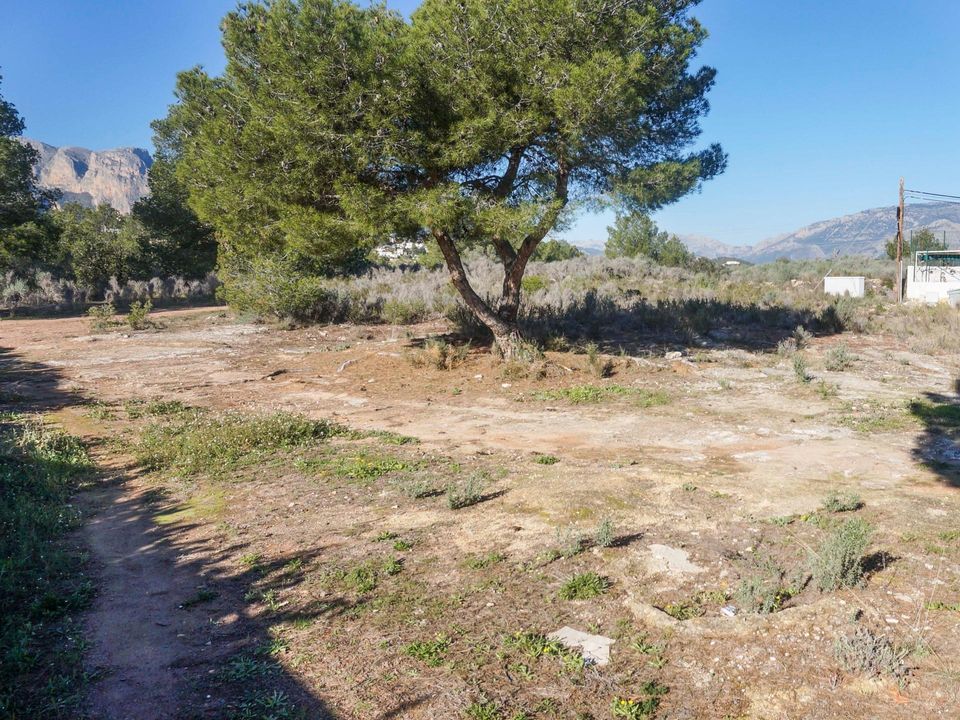 Helårsgrund i La Nucia, Alicante - foto 3