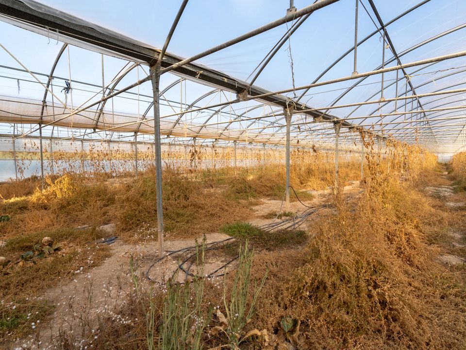 Finca i El Pinell De Brai, Tarragona - foto 2