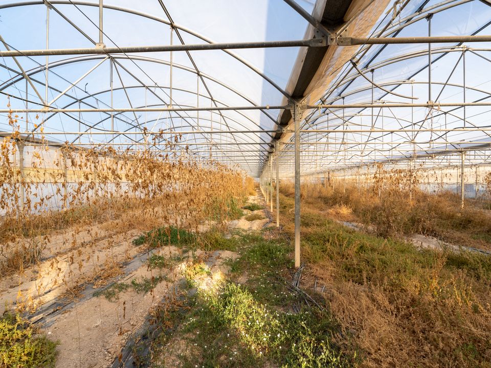 Finca i El Pinell De Brai, Tarragona - foto 1