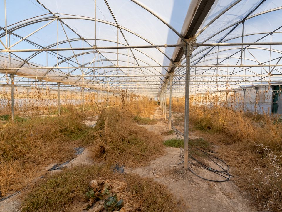 Finca i El Pinell De Brai, Tarragona - foto 3