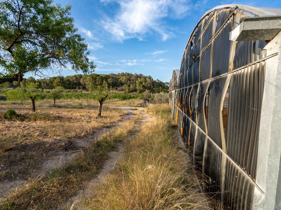 Finca i El Pinell De Brai, Tarragona - foto 5