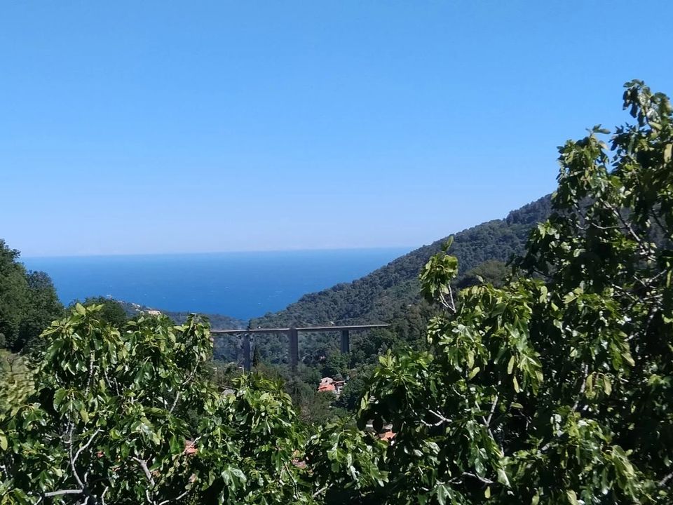 Helårsgrund i Gorbio, Alpes-Maritimes - foto 2