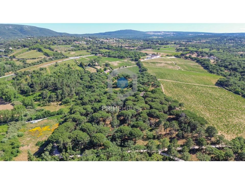 Helårsgrund i Brejos de Azeitao, Setubal - foto 2