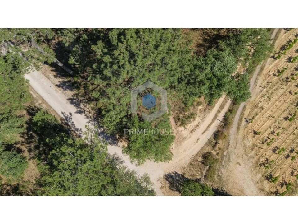 Helårsgrund i Brejos de Azeitao, Setubal - foto 3