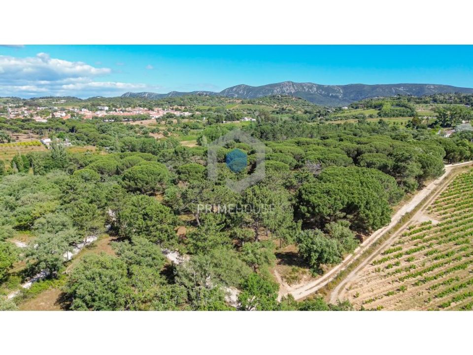 Helårsgrund i Brejos de Azeitao, Setubal - foto 4