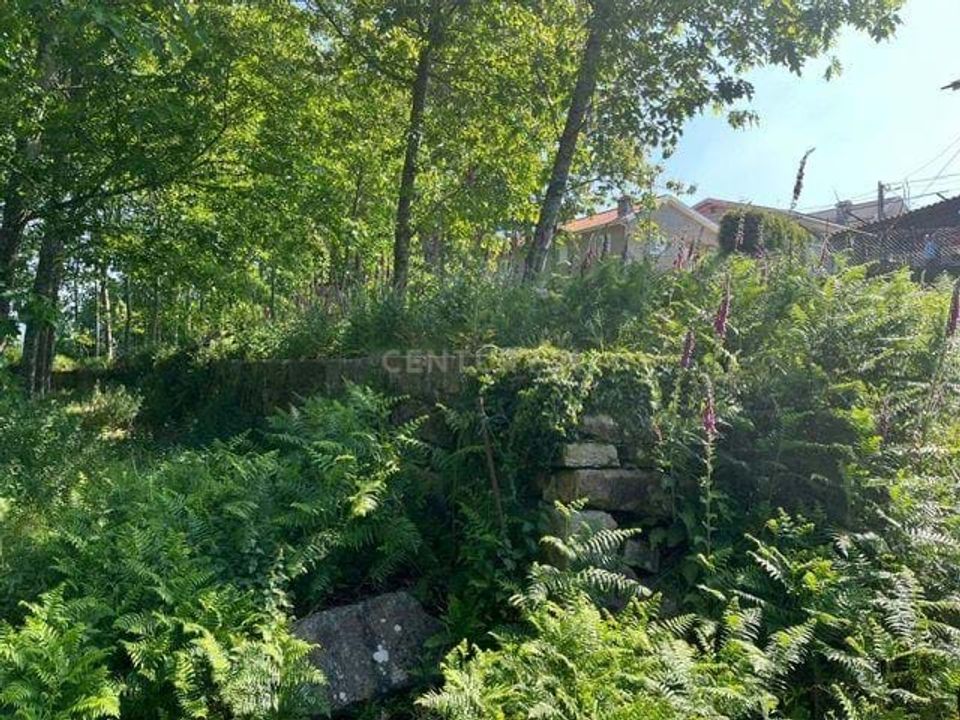 Helårsgrund i Penafiel, Porto - foto 5