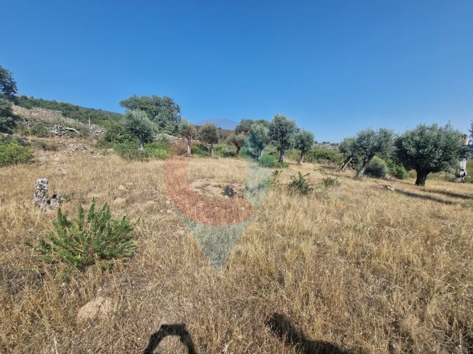 Landejendom i Ribeira de Nisa e Carreiras, Portalegre - foto 3