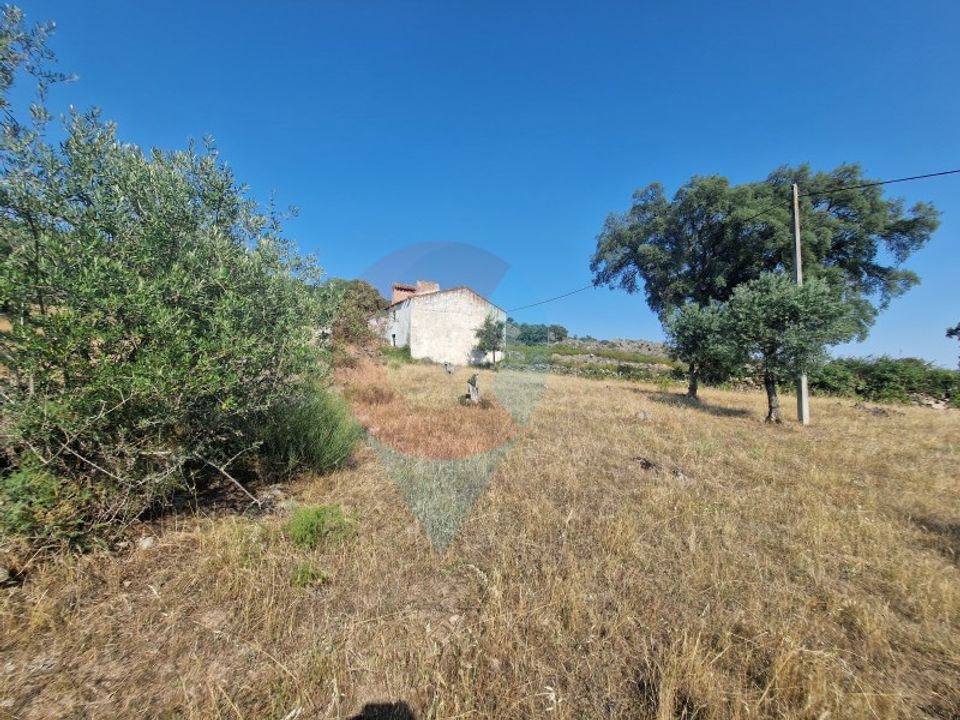 Landejendom i Ribeira de Nisa e Carreiras, Portalegre - foto 1