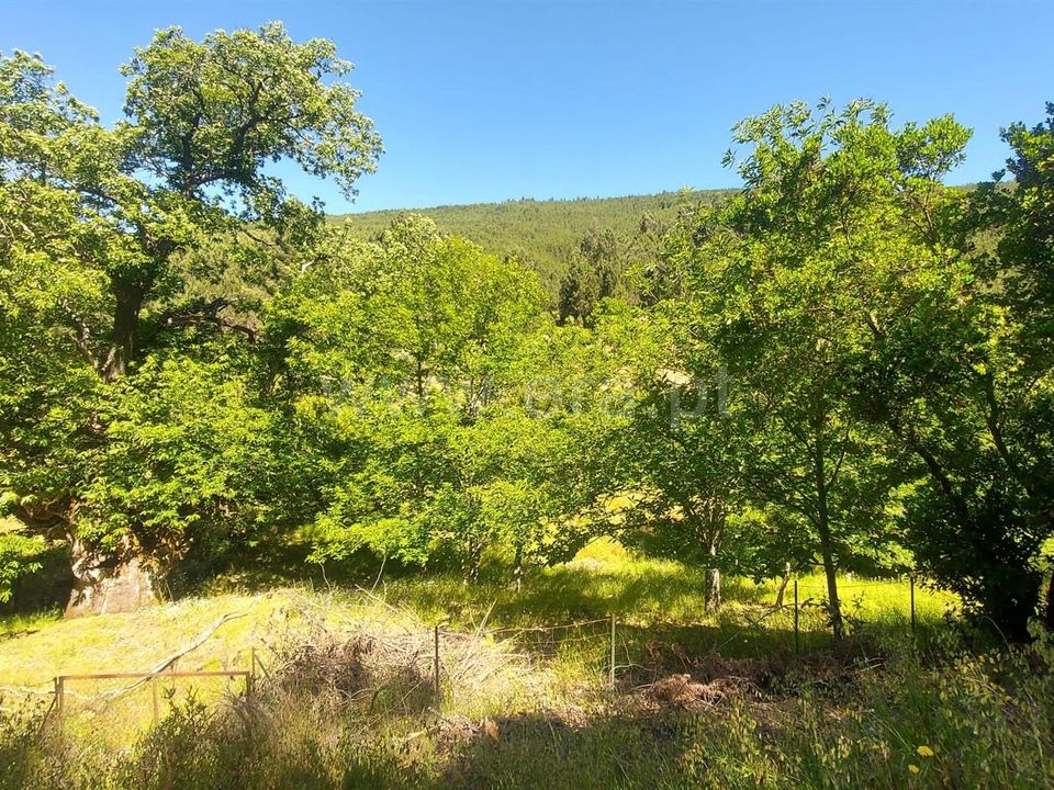 Helårsgrund i Fundao, Castelo Branco - foto 1