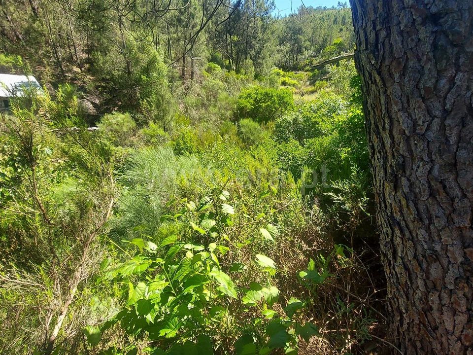 Helårsgrund i Fundao, Castelo Branco - foto 2