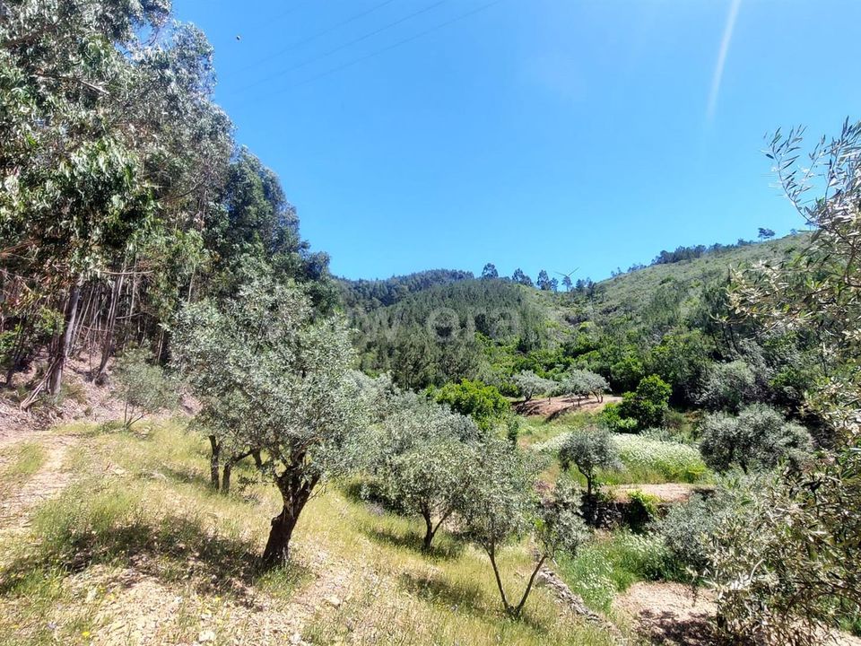 Helårsgrund i Fundao, Castelo Branco - foto 4