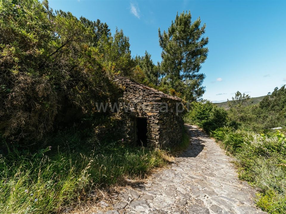 Helårsgrund i Fundao, Castelo Branco - foto 1