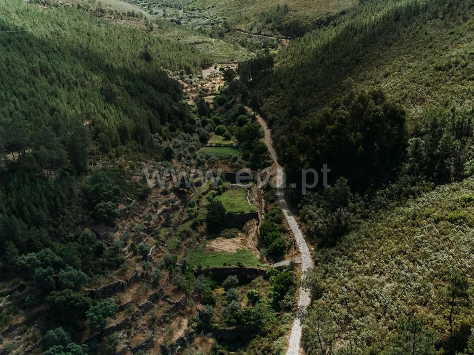 Helårsgrund i Fundao, Castelo Branco - foto 3